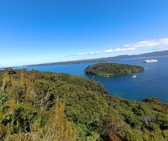 Stewart Island